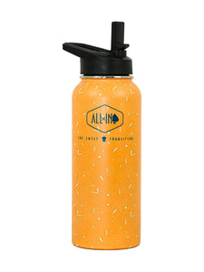 950mL stainless steel insulated water bottle - Orange